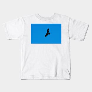 Wedge Tailed Eagle in flight Kids T-Shirt